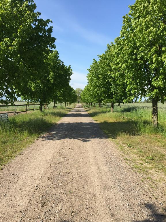 Björkåsa Gård Bed&Box Villa Annelov Exteriör bild